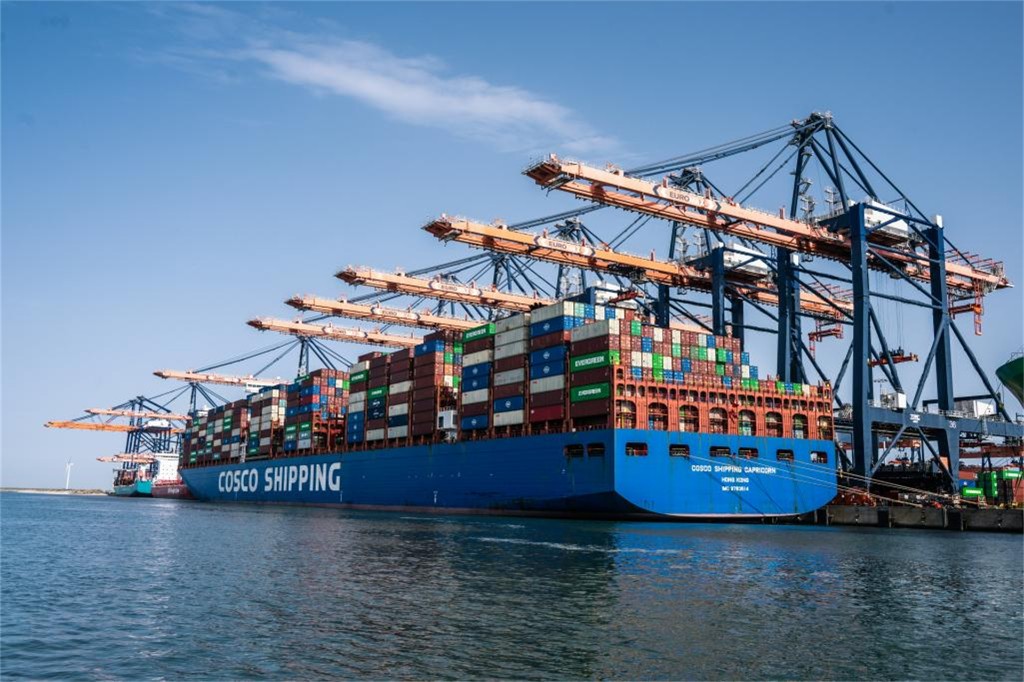 MSK·COSCO·WHL一手直签